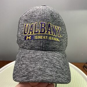 University Albany Great Danes Gray/Purple‎ Baseball Hat Cap Sz.L  Stretch